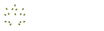 Dar Nour el Houda