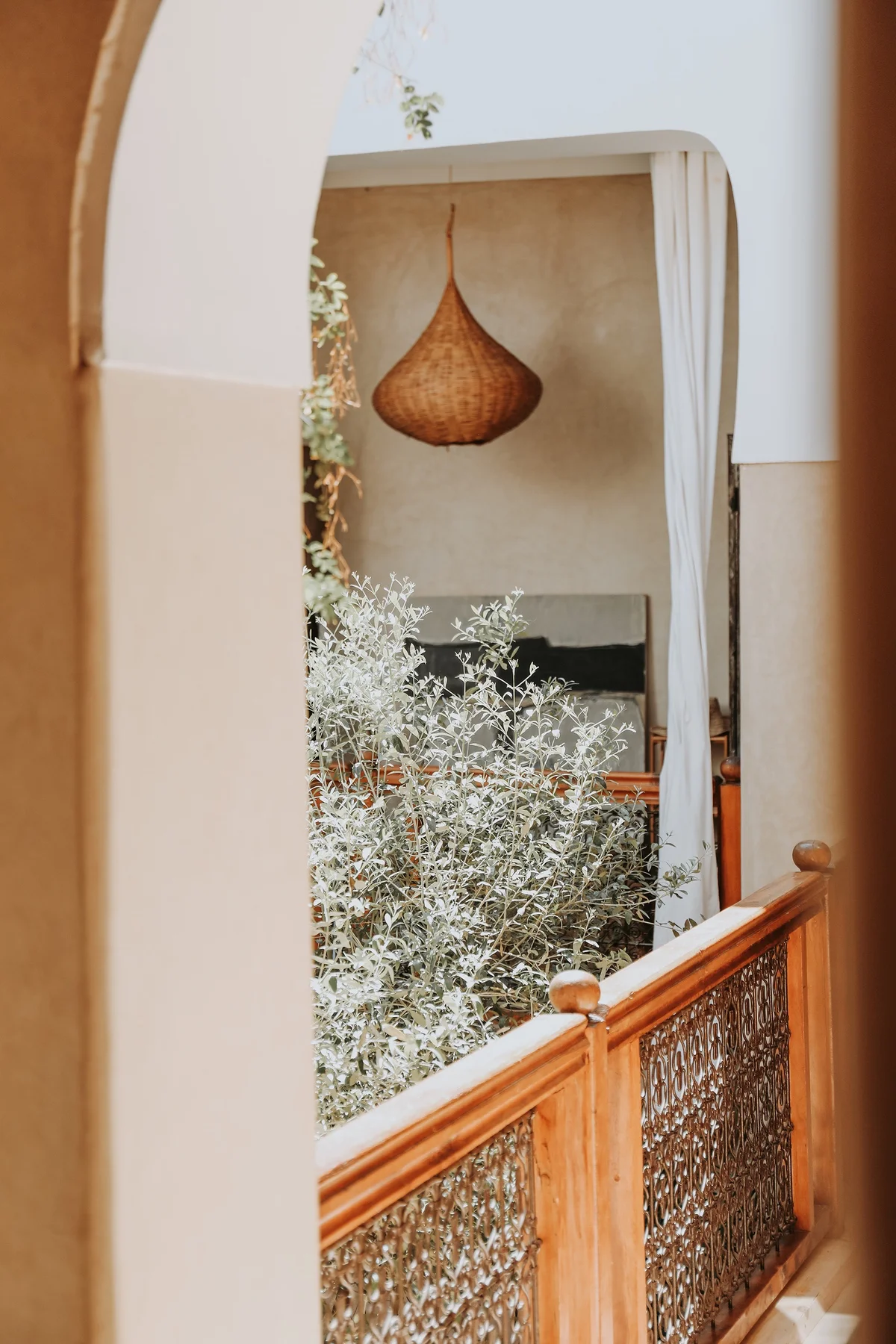 Through an arch of the riad, the gallery's wooden balustrade and olive leaves in soft light