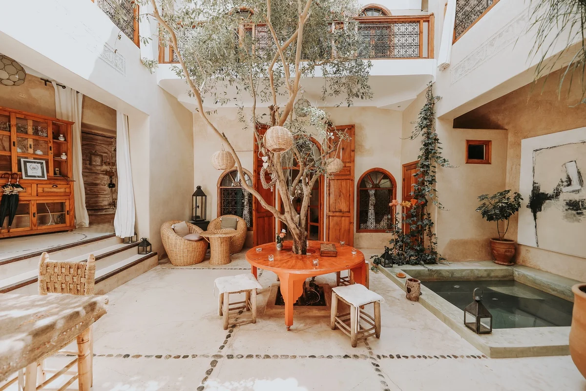 The sunlit patio of Dar Nour el Houda — the olive tree, the painter's table and the cooling pool