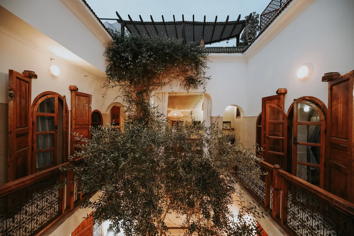 The patio seen from the gallery at dusk &mdash; the olive tree climbing towards the rooftop pergola