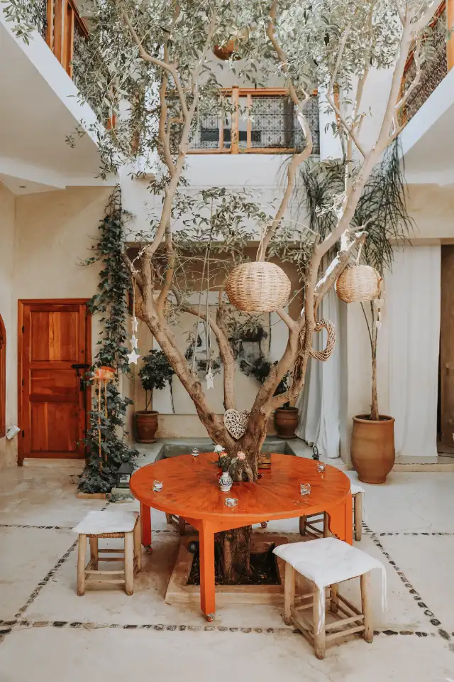 The patio of Dar Nour el Houda — the olive tree, rattan lanterns and the painter's orange table